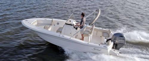 Scout 195 Sportfish scheda tecnica 